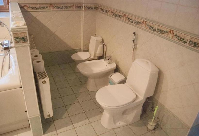 Пансион Riia Villa