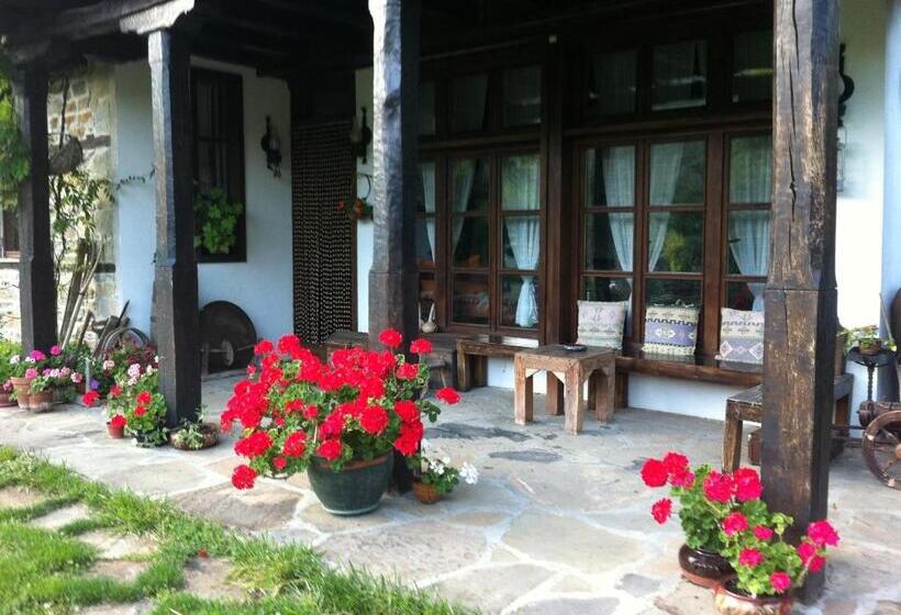 ペンション Stefanina Guesthouse