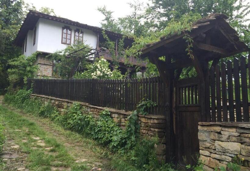 ペンション Stefanina Guesthouse