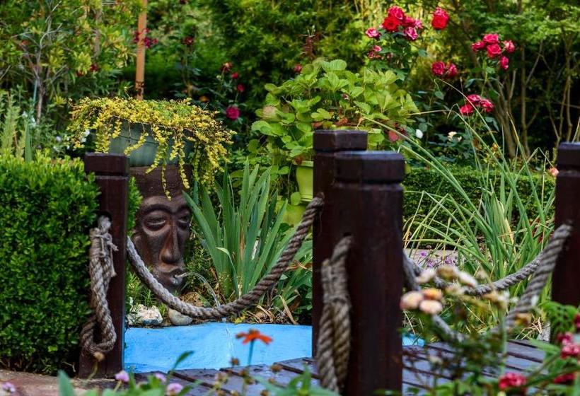 پانسیون Vila Saltanat 41