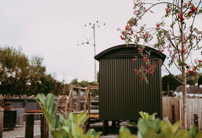 فندق صغير The Wilson Arms