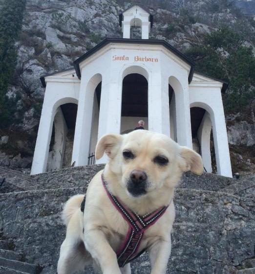 Apartments Excelsior