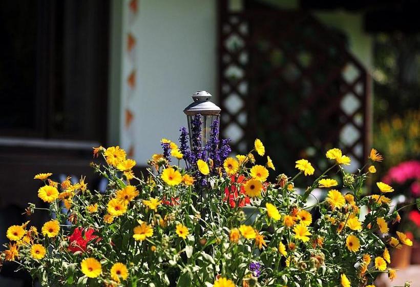 Bed and Breakfast Haus Jochblick Familie Loinger