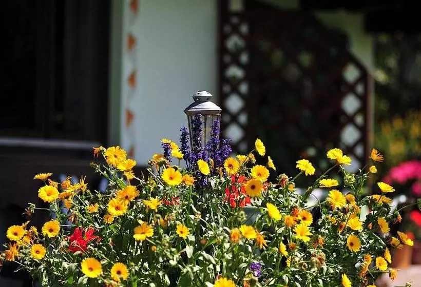 Aamiaismajoitus (B&B) Haus Jochblick Familie Loinger