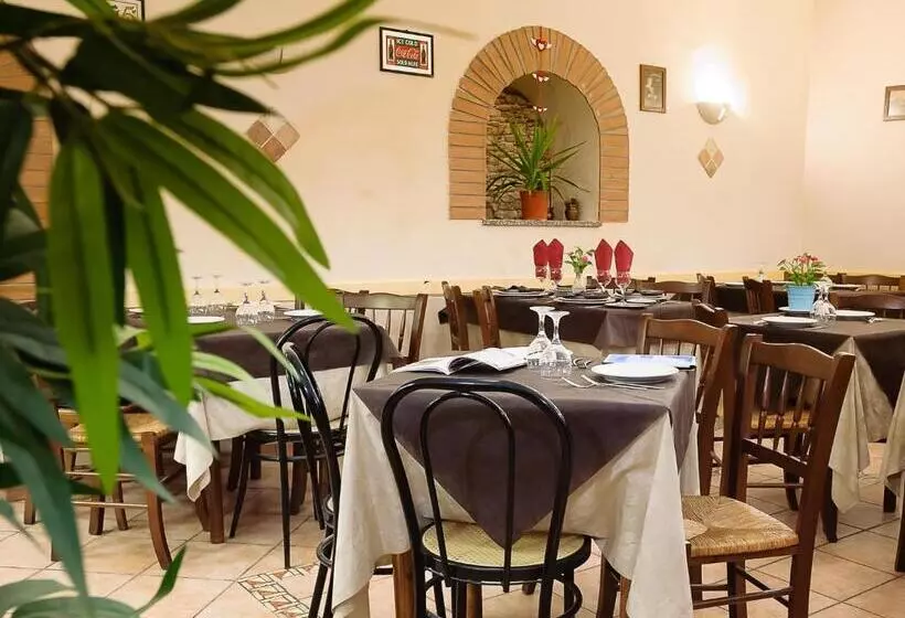 ペンション Adriatic Room 50 M Dalla Stazione Ferroviaria Di Ciampino E Dalla Navetta Aeroportuale