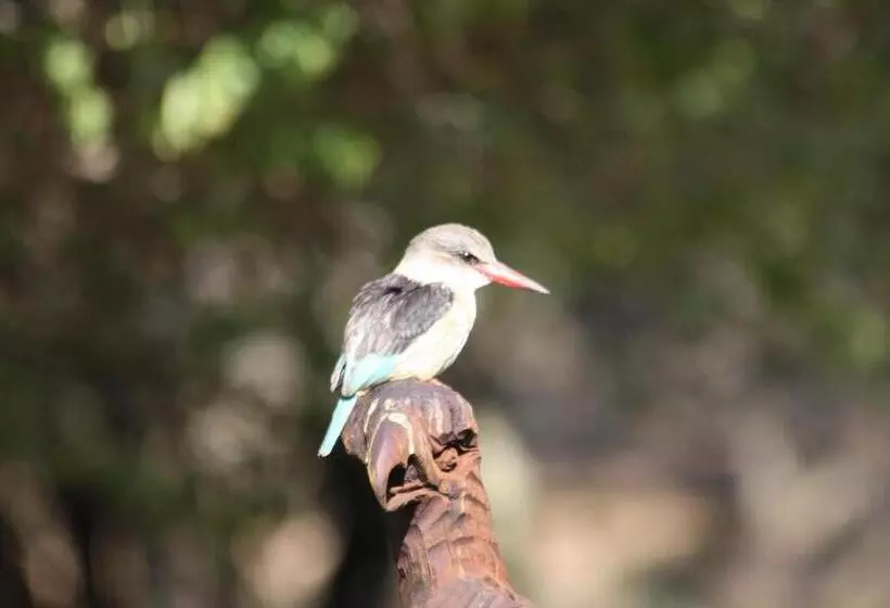 پانسیون Birds Babble Self Catering