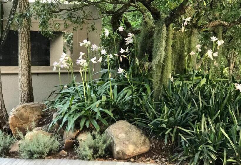 פנסיון Birds Babble Self Catering