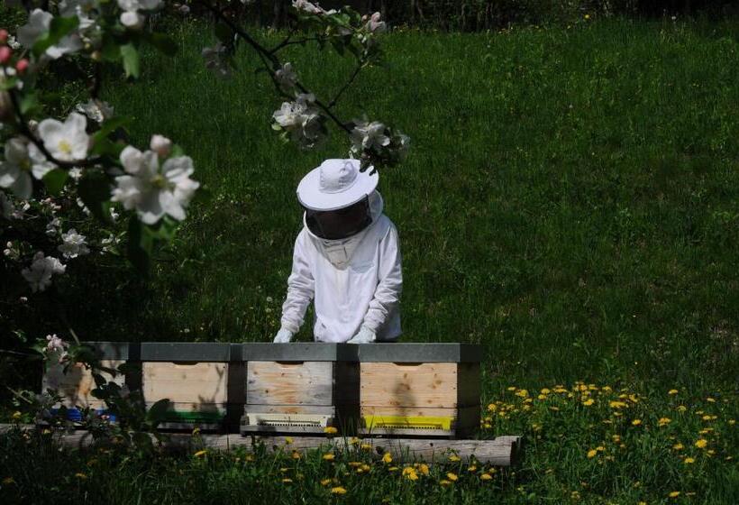 펜션 Gästehaus Brugger