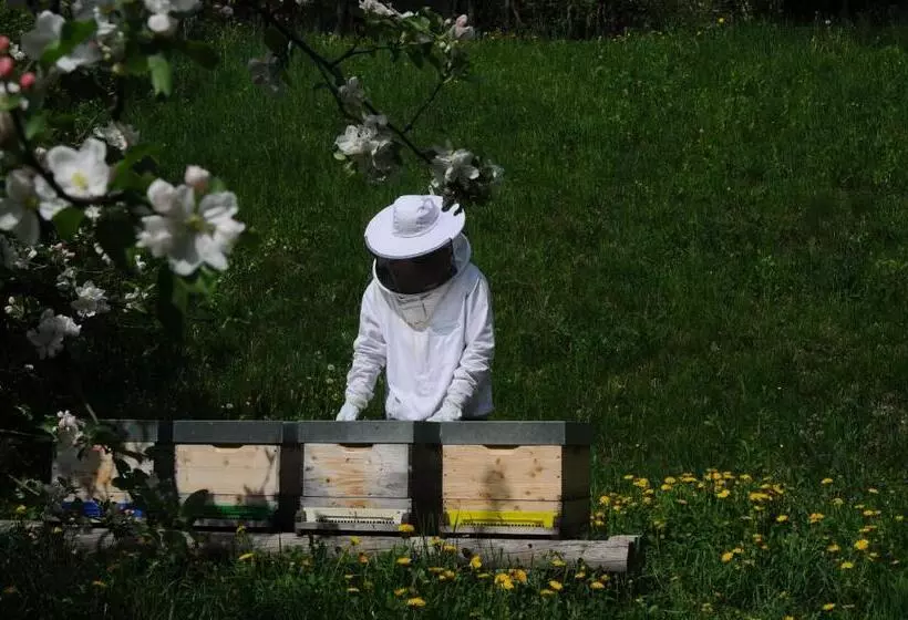 ペンション Gästehaus Brugger