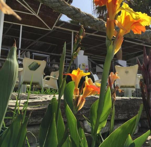 ペンション Hostal Rios