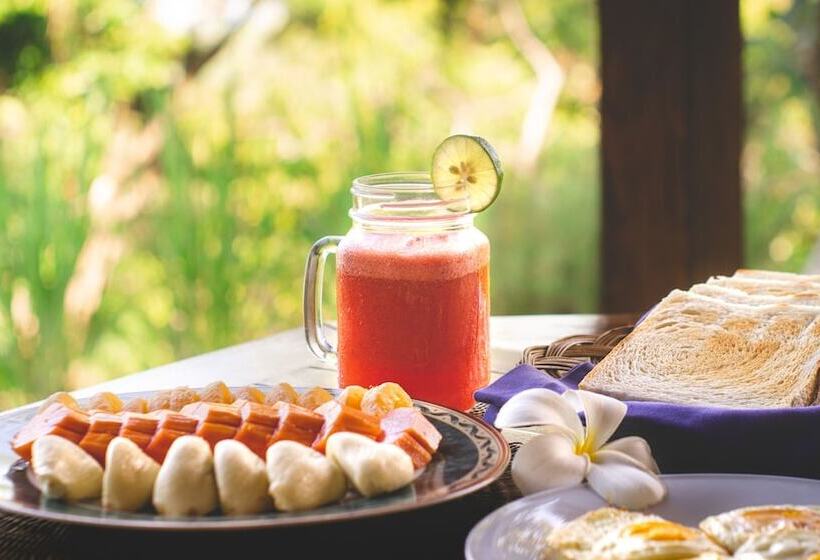 膳宿费 The Studio