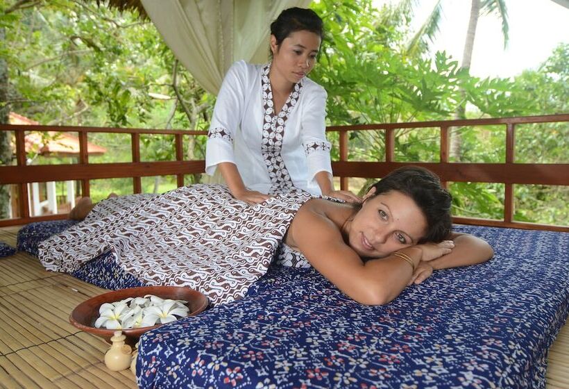 膳宿费 The Studio