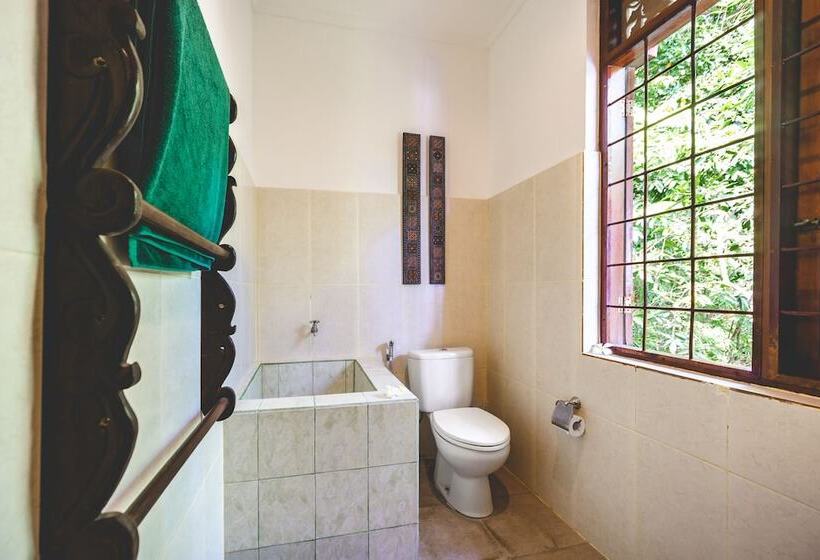 膳宿费 The Studio