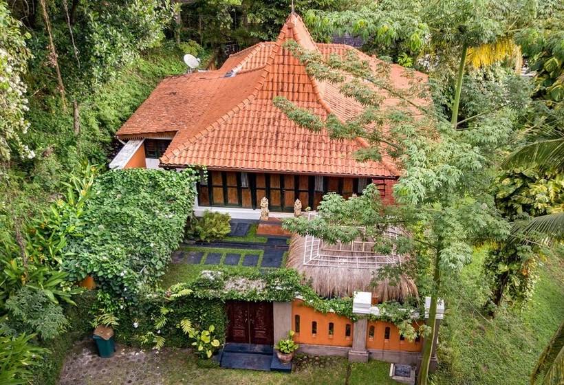 膳宿费 The Studio