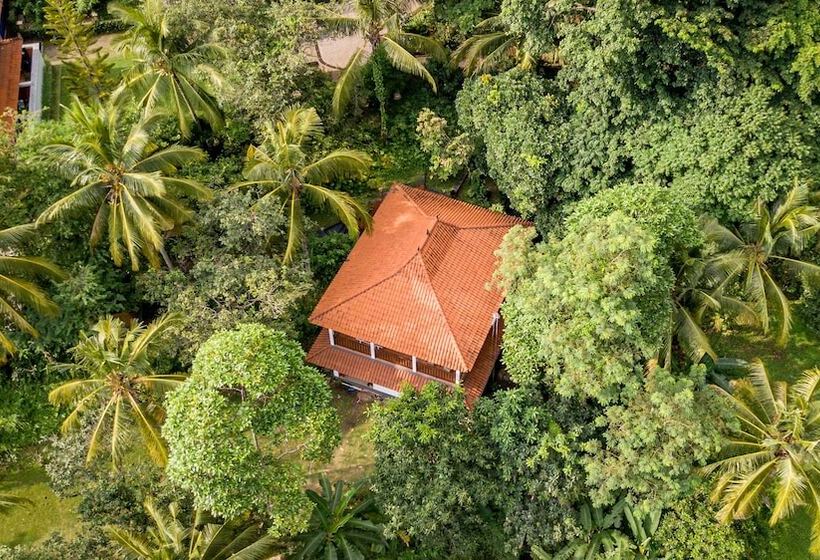 膳宿费 The Studio