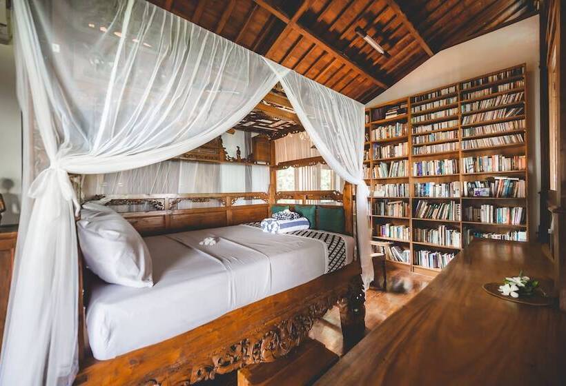 膳宿费 The Studio