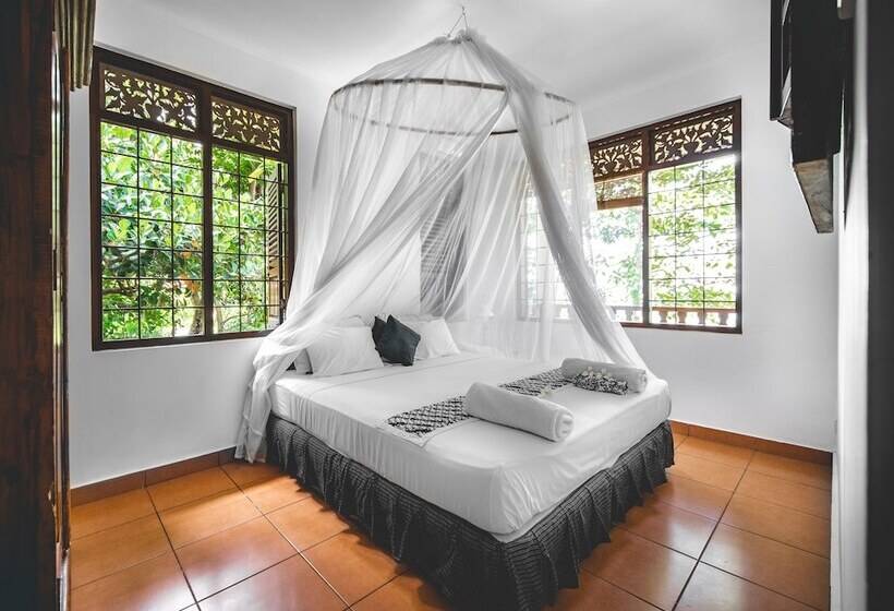 膳宿费 The Studio