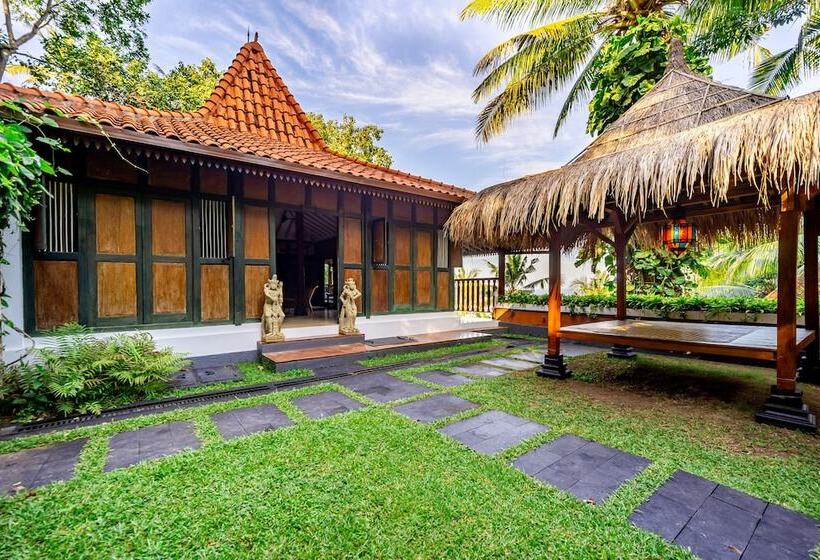 膳宿费 The Studio