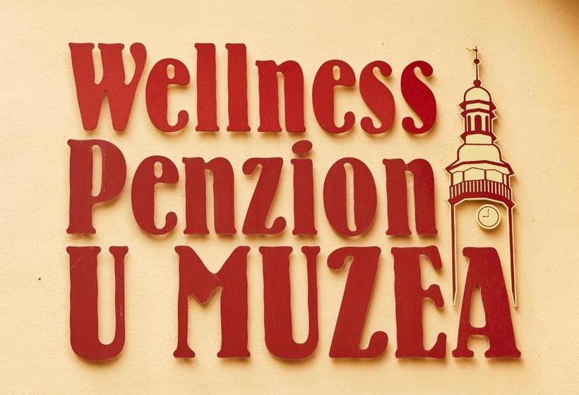 بنسيون Wellness Penzion U Muzea