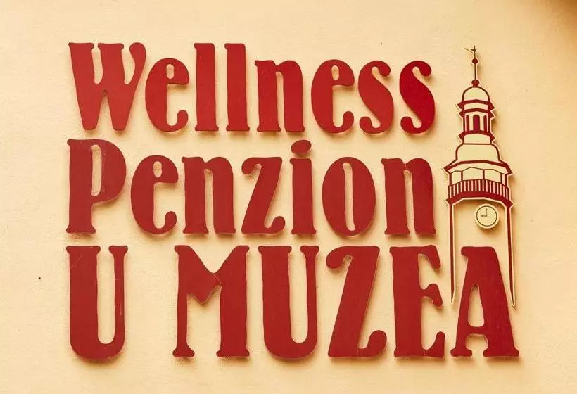 پانسیون Wellness Penzion U Muzea