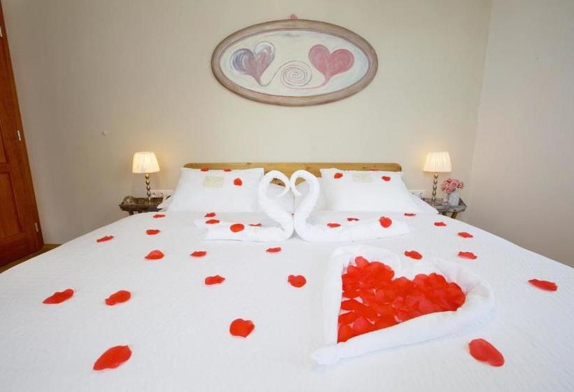 بنسيون Wellness Penzion U Muzea