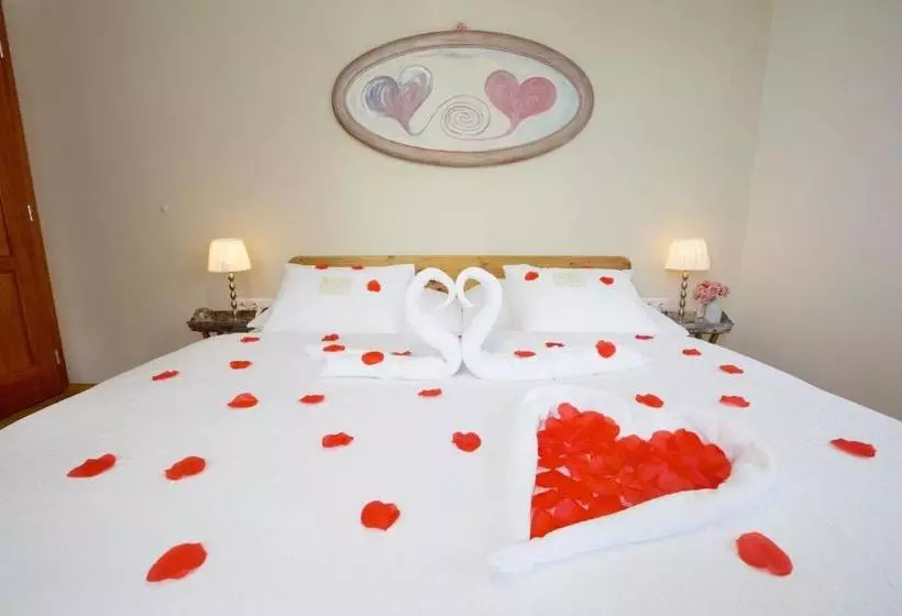 پانسیون Wellness Penzion U Muzea