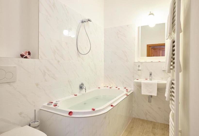 بنسيون Wellness Penzion U Muzea