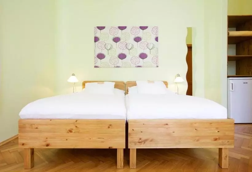 پانسیون Wellness Penzion U Muzea