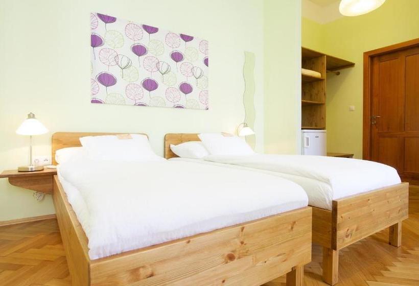 بنسيون Wellness Penzion U Muzea