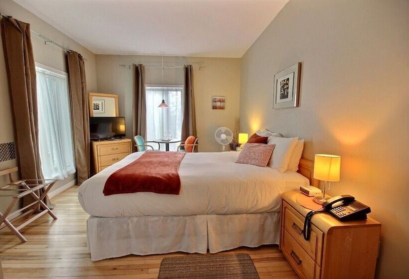 فندق صغير Auberge La Chocolatiere