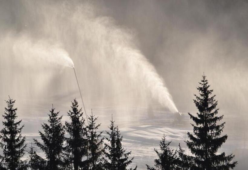 Ciasa Rudiferia Appartamenti In Alta Badia