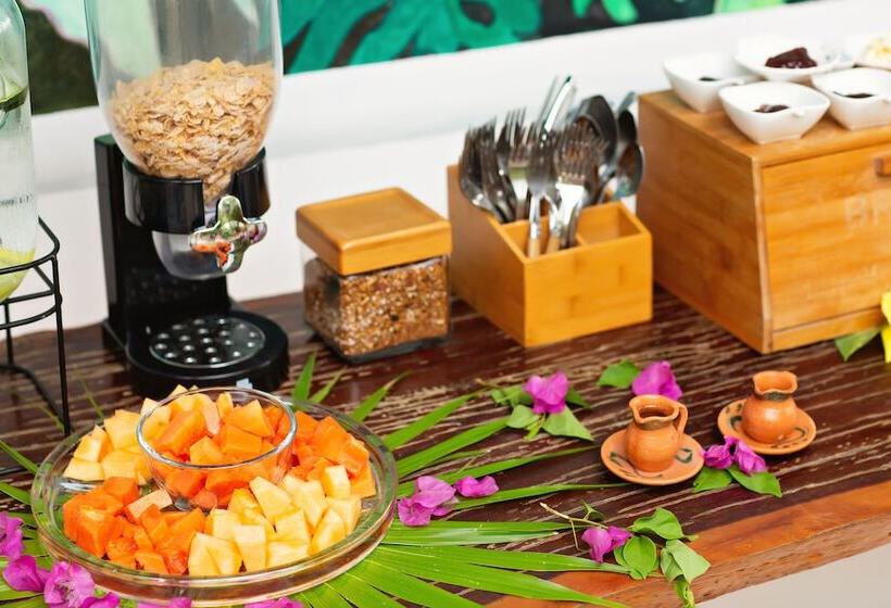 Deluxe Apartments Holbox