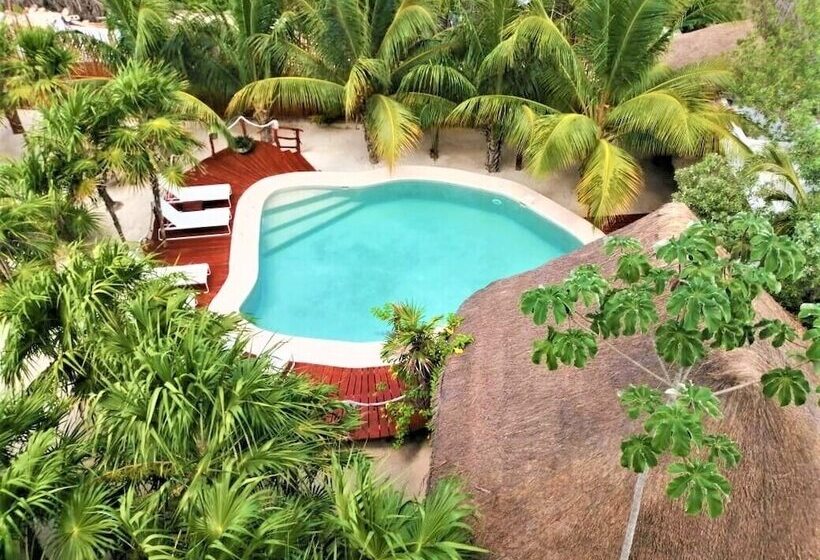 Deluxe Apartments Holbox