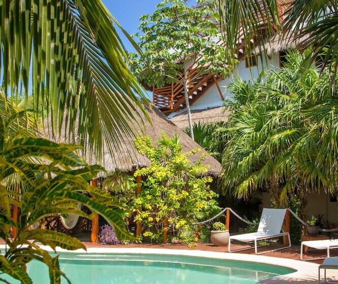 Deluxe Apartments Holbox