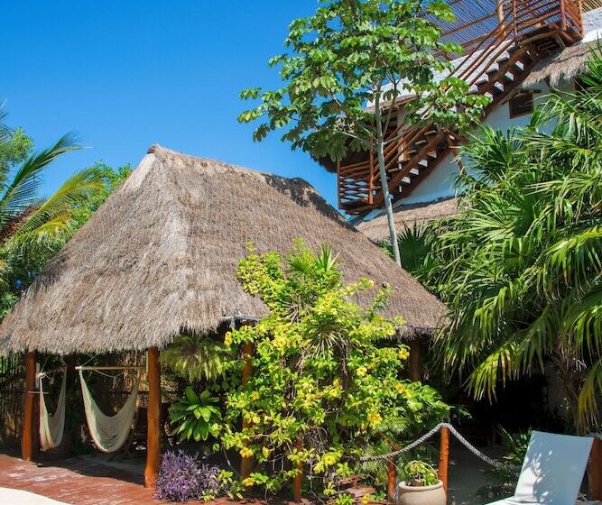 Deluxe Apartments Holbox