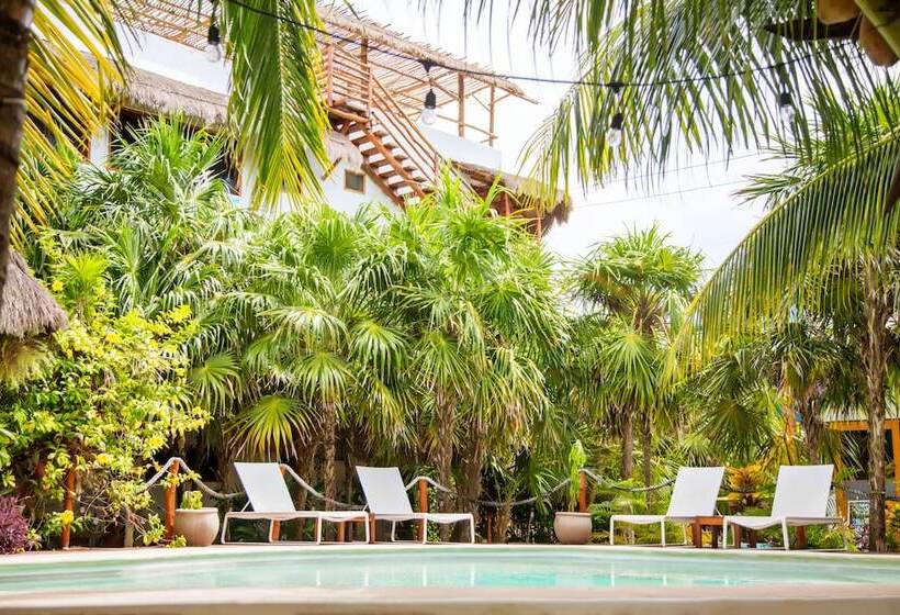 Deluxe Apartments Holbox