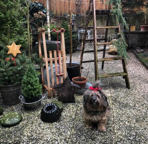 펜션 Alte Weinstuben Steinfelder Hof Garni