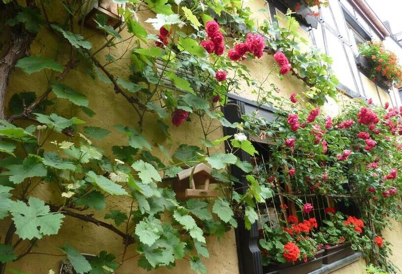 펜션 Alte Weinstuben Steinfelder Hof Garni