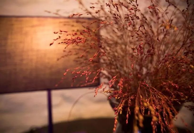 Majatalo Gastenkamers Uitgaanslapen