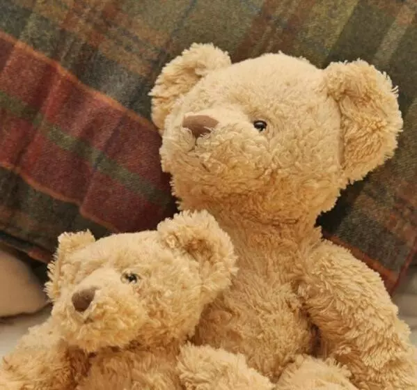 ペンション Gowanlea Guest House