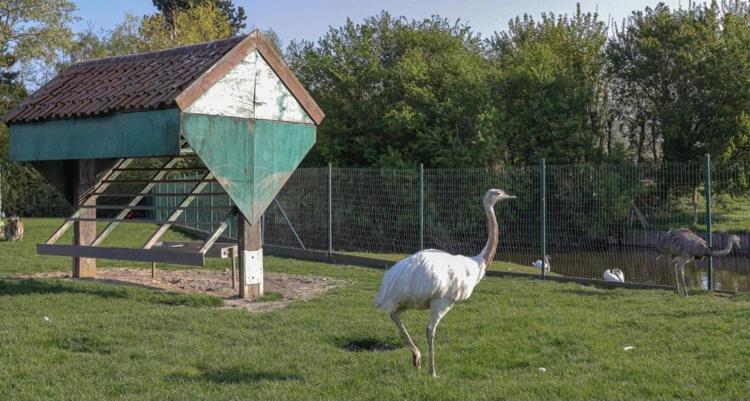 Пансион Hove Ter Hille