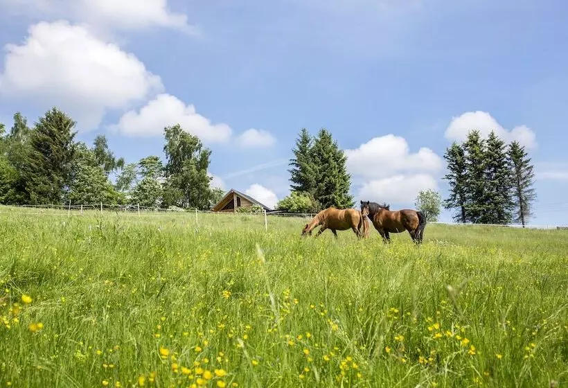 Majatalo Landhaus Bergidyll