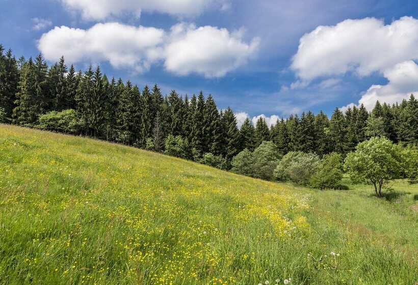 פנסיון Landhaus Bergidyll