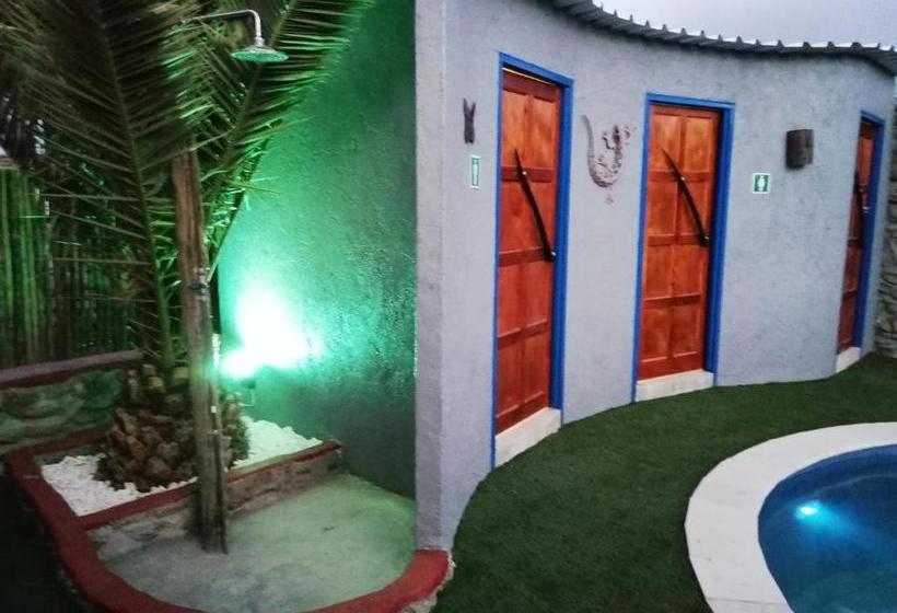 پانسیون Melissa's Guest House