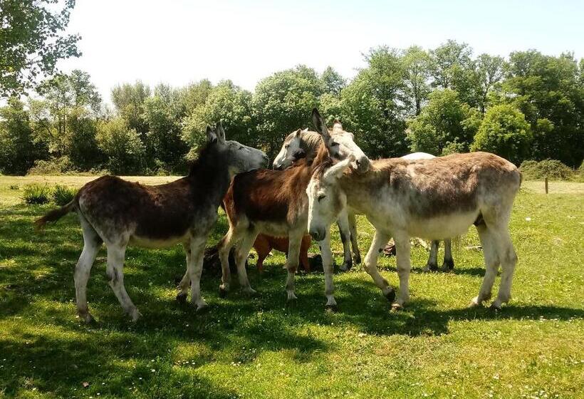 ペンション Molinos De Antero