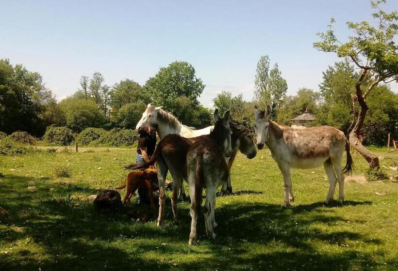 ペンション Molinos De Antero