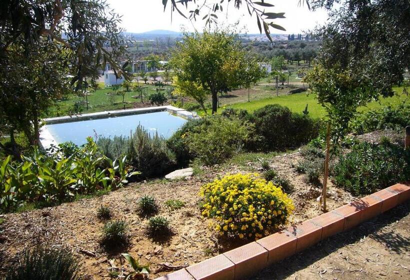 פנסיון Monte Da Boa Vista   Descanso Perfeito