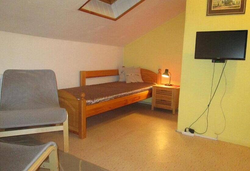 Panzió Penzion U Holubů Nový Jičín