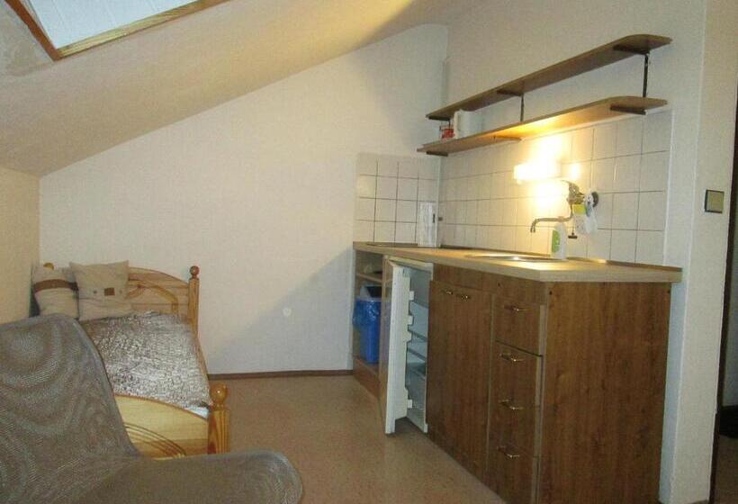 Panzió Penzion U Holubů Nový Jičín