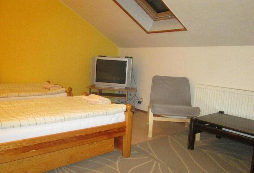 Panzió Penzion U Holubů Nový Jičín